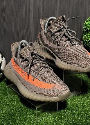 Жіночі кросівки adidas yeezy boost, 38,5/24 см