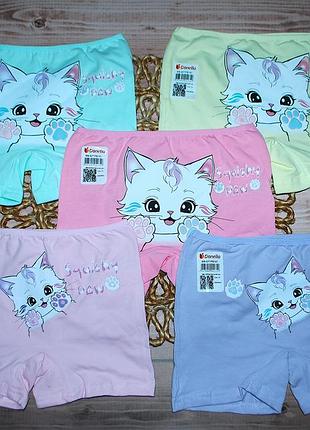 Набор 5 шт шортики 8-9 рост 134-140 донела donella котик