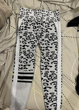 Леопардові лосіни для залу