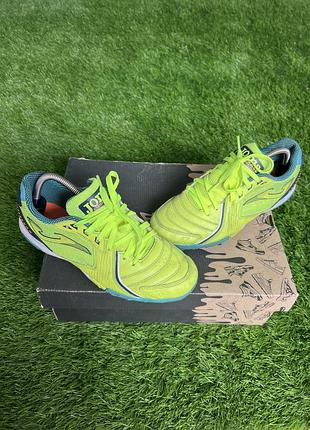 Сороконіжки джома 40, 25см