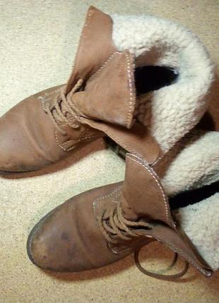 Сапоги женские замшевые