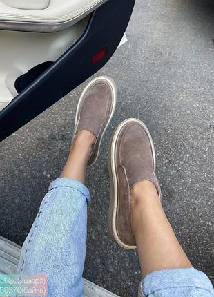 Лофери високі