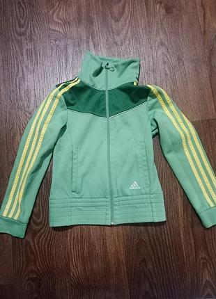 Хорошая олимпийка adidas