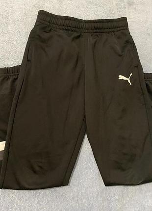 Спортивні штани puma