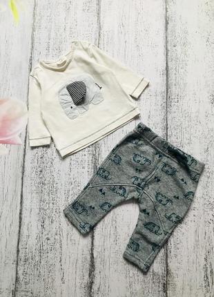 Крутой набор кофта реглан и штаны брюки слоник next / nutmeg 3мес