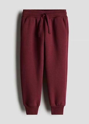 Штани теплі h&m на флісі