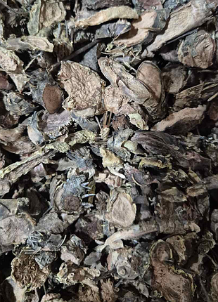 100 г золотой корень/родиола розовая корень сушеный - свежий урожай