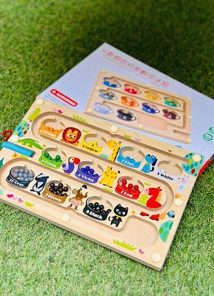 Магнитная доска для изучения цветов