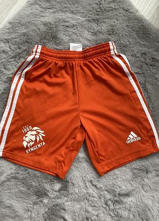Футбольні шорти adidas