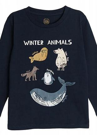 Хлопковый синий реглан лонгслив на мальчика