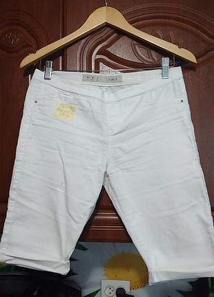 Бріджі жіночі.