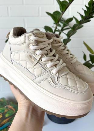 Демі хайтопи