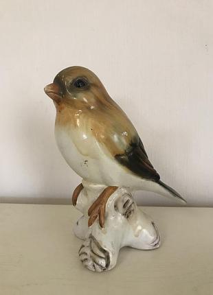 Керамічна птаха німеччина