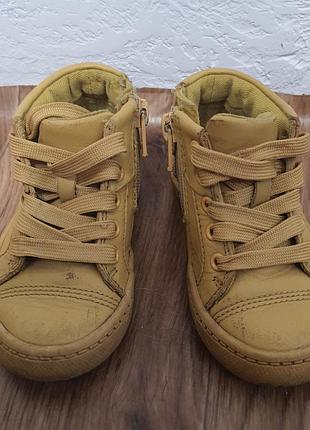 Кросівки шкіряні  жовті clarks 21 22 розмір