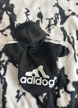 Худі для собак маленьких порід