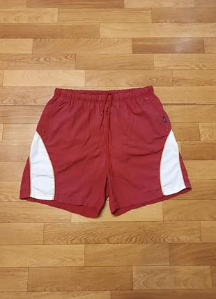 Качественные брендовые стильные шорты