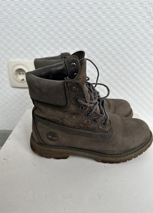 Черевики timberland