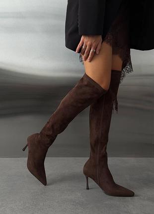 Демі чоботи