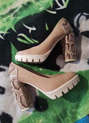 Красиві туфлі на стійкому підборі зі зміїним принтом