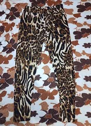 Теплые леопардовые лосины женские xl