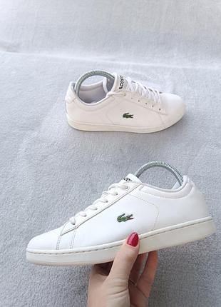 Жіночі кросівки lacoste р37