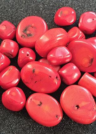 Коралл для бус