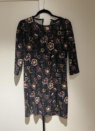 Плаття до колін