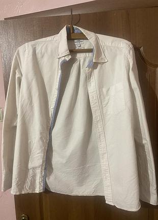 Стильна чоловіча сорочка бренду next