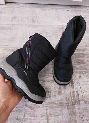 Чоботи  cortina