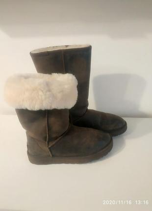 Угги ugg australia сапожки