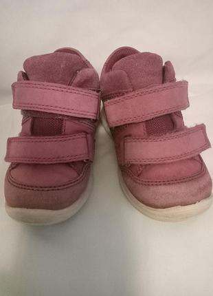 Черевички ecco