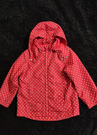 Ветровая на девочку "tu", на 3-4 года.