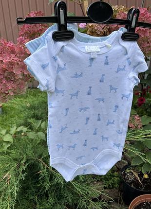 Бодики набір