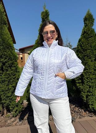 Курточка плащевка