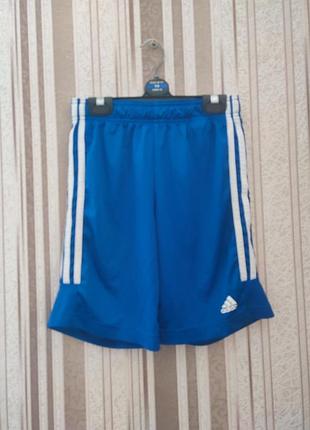 Спортивные шорты