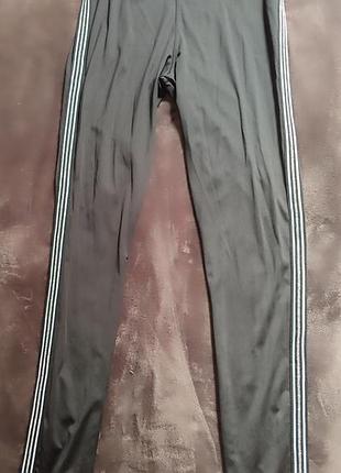 Жіночі лосіни