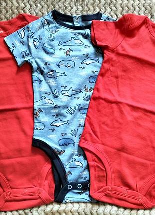 Бодики на 24 месяцев.