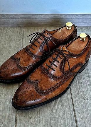 Чоловічі шкіряні коричневі туфлі оксфорди броги berwick 1707 42