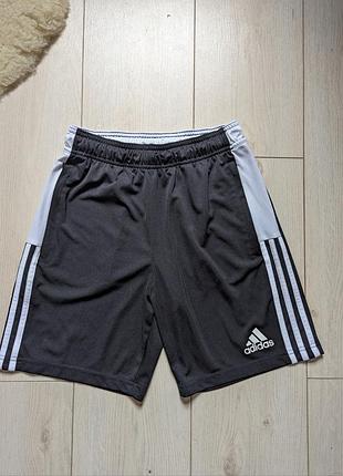 Спортивні шорти adidas з карманами