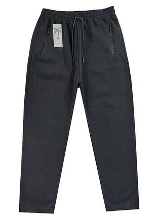 Штаны спортивные мужские утепленные прямые 52,54,56