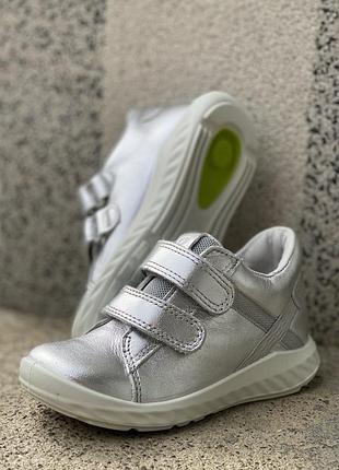 Кросівки шкіряні ecco ﻿sp. 1 lite 24 р.індонезія