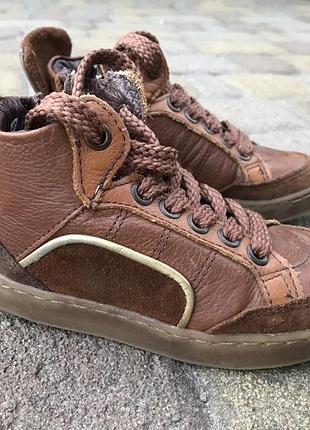 Кожаные демисезонные ботинки hip 16 см стелька