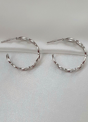 Необычные серьги "изящность в каждой звене"