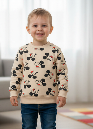 Утеплений дитячий світшот кофта з начосом светр на хлопчика