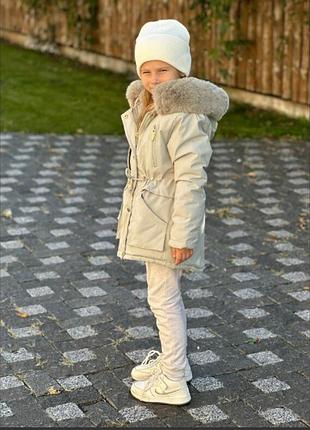 Парка зимова