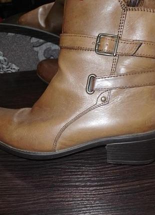 Кожа 41 деми