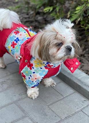 Комбинезон зимний для собак девчачий xs