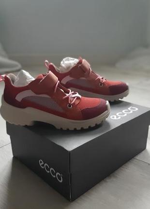 Кроссовки ecco🔥