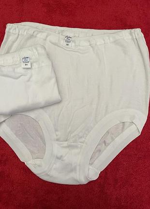 38/65 трусы cotton pure германия