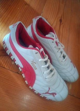 Кросiвки   пума